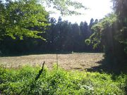 名無しさんの稲村御所の投稿写真7
