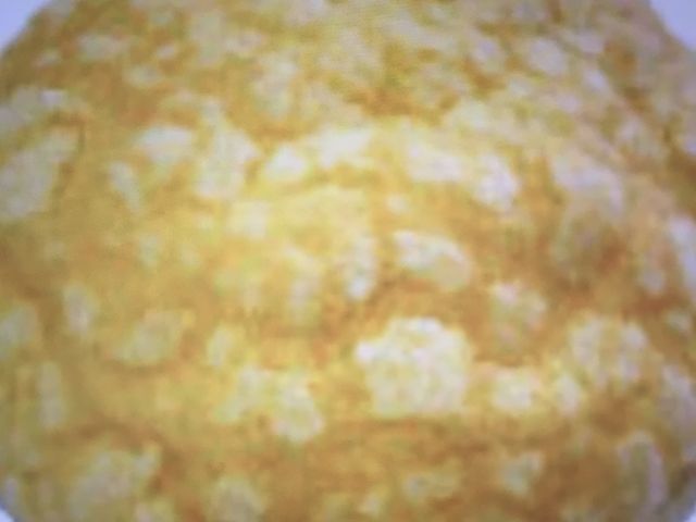 メロンパン_ヴィドフランス 阪神西宮店