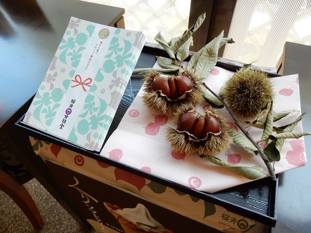 小布施総合案内所の桜井甘精堂のコーナー_桜井甘精堂泉石亭