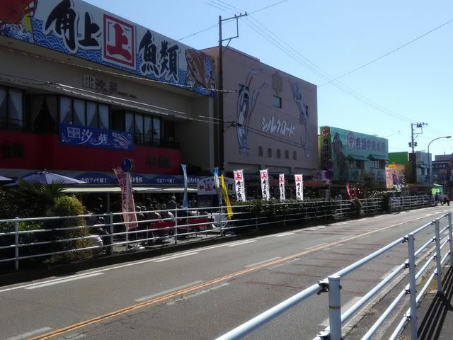 角上魚類_角上魚類
