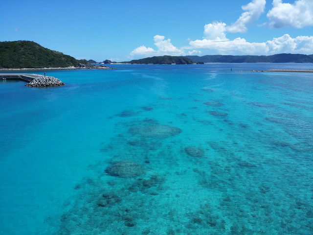 橋の上から_阿嘉島