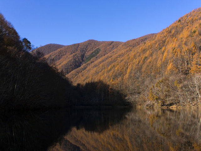 ゆうきさんの竜ヶ沢ダムの投稿写真1