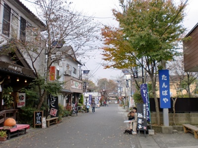 ユニークな店が並びます_門前町商店街