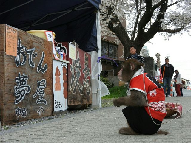 メイさんの臥竜公園の投稿写真1