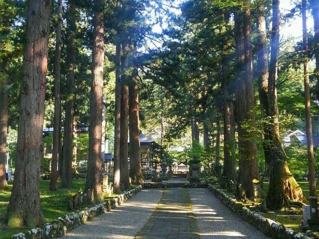 実際の迫力はこんなもんじゃないよ!_雲洞庵