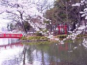 メイさんの臥竜公園竜ヶ池の投稿写真1