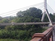 ジョンさんの秩父公園橋(秩父ハープ橋)の投稿写真1
