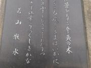 ライチちゃんさんの若山牧水歌碑の投稿写真1