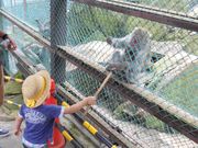 るるるさんの鬼怒川温泉ロープウェイの投稿写真1