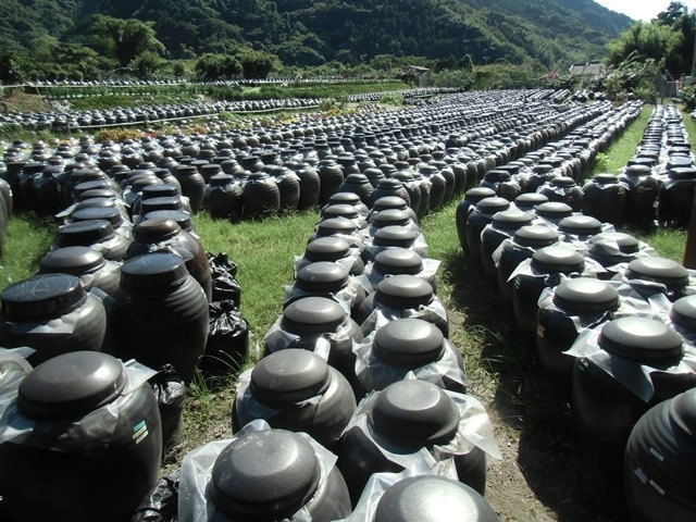 黒酢本舗 桷志田