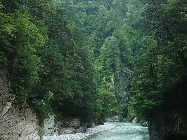 猿でも渡れなそう。_猿飛峡