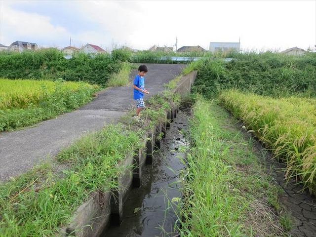 遊び_壬生総合公園