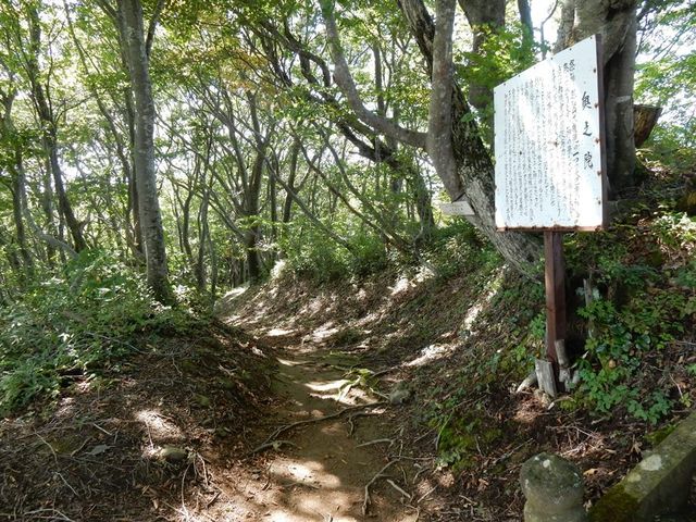 w-masaさんの越知山行者道(登山道)の投稿写真2