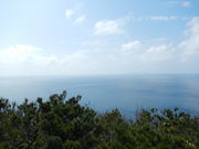 しばまーるさんの高月山の投稿写真1