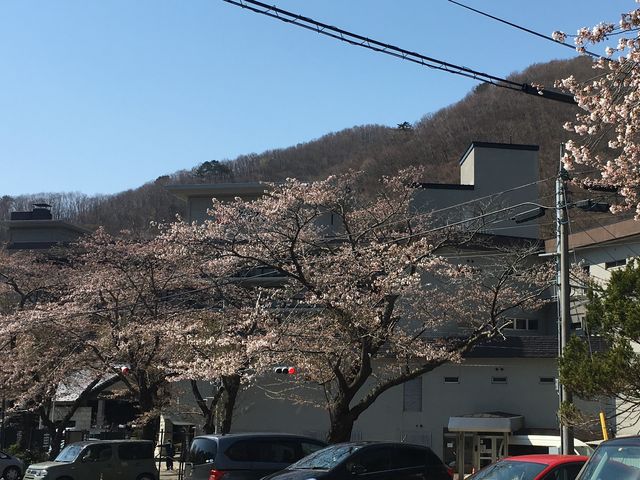 岩松旅館_鷹泉閣 岩松旅館