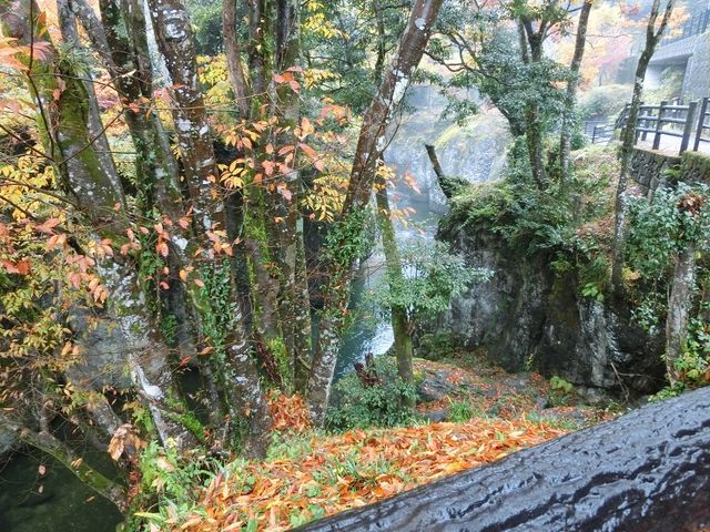 遊歩道を上流へ_魔林峡