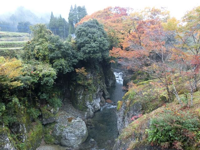 念仏橋へと_魔林峡