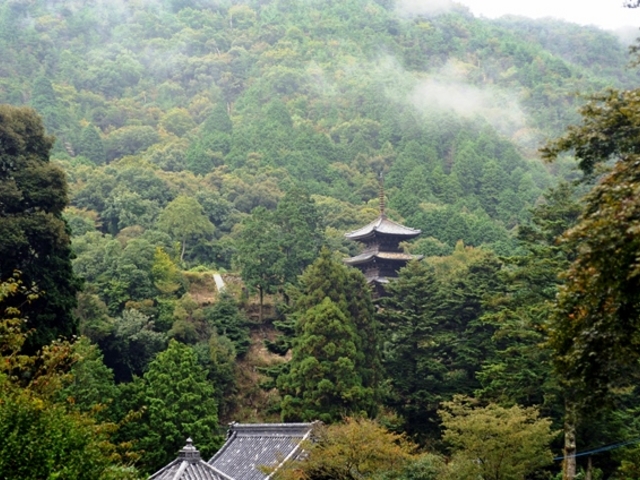 緑の中にある三重塔_大滝山