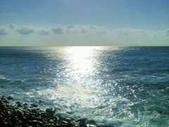 プー太さんのへの投稿写真5