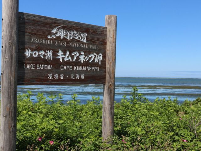 やっとたどり着く_キムアネップ岬