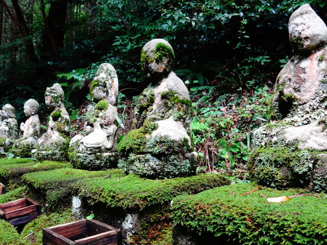 天徳寺_天徳寺