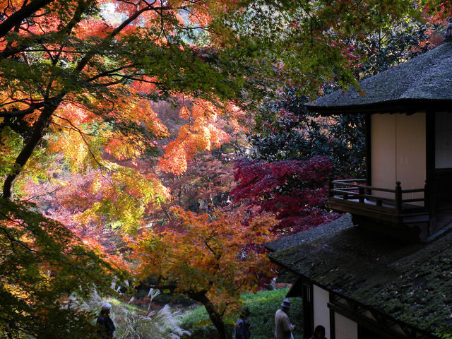 聴秋閣の秋景色_三溪園