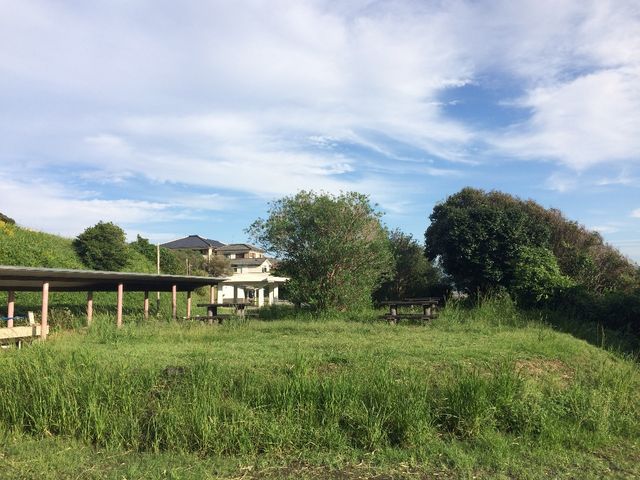 JOEさんの白岩崎キャンプ場の投稿写真1