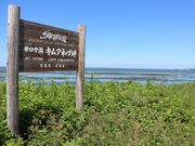 たかちゃんさんのキムアネップ岬の投稿写真1