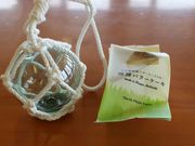 たかちゃんさんのオムサロ原生花園の投稿写真3