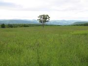 たかちゃんさんの大平高原の投稿写真2