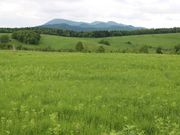 たかちゃんさんの大平高原の投稿写真3