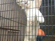 ぼりさんの沖縄こどもの国 Okinawa zoo & museumの投稿写真1