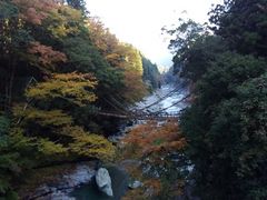 祖谷のかずら橋の写真1