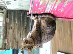 なっちゃんさんのしろとり動物園への投稿写真1