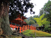 カタさんの春日大社本社本殿の投稿写真1