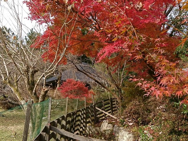 季節を感じられます_天好園