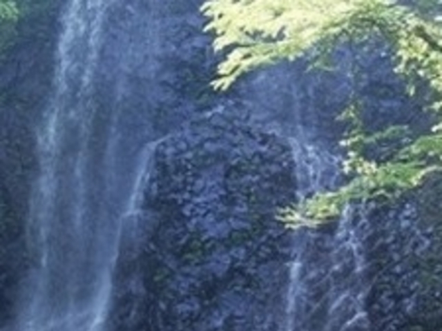 権現山白糸の滝_権現山白糸の滝