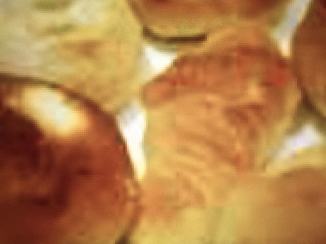 小ぶりなパンが食べ放題に_バケット BAQET 天王寺MIO店