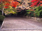 モッサンさんの光明寺のもみじの投稿写真1