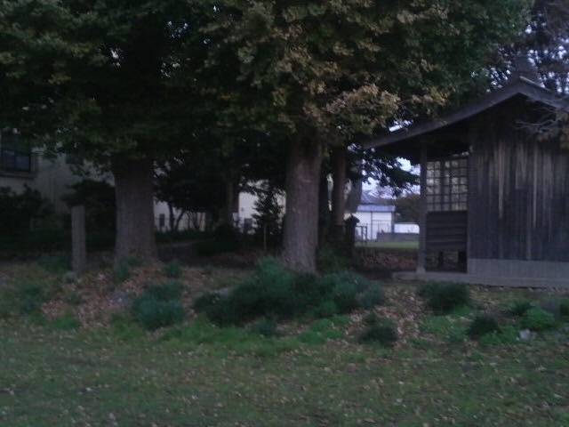 さとけんさんの相模国分尼寺跡の投稿写真4