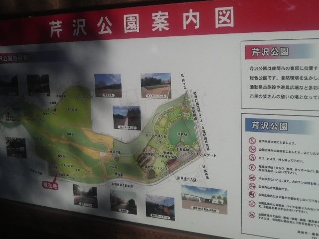 芹沢公園の案内図_芹沢公園