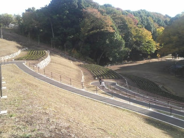 芹沢公園は高低差があります_芹沢公園