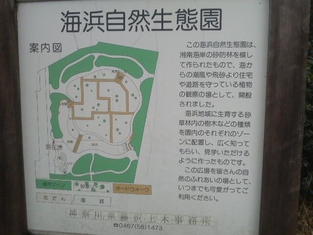 海浜自然生態園の案内図_海浜自然生態園