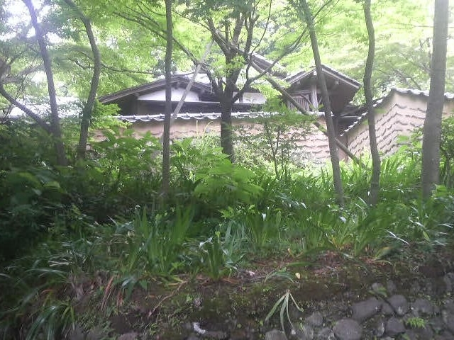 松永記念館の老欅荘へやってきました_小田原市郷土文化館分館 松永記念館