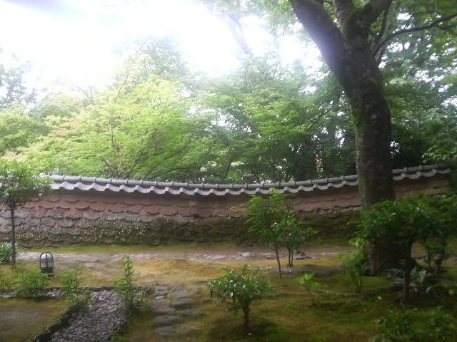 老欅荘のお庭。雨後で苔も元気を取り戻しています。_小田原市郷土文化館分館 松永記念館
