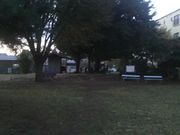 さとけんさんの相模国分尼寺跡の投稿写真2