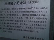 さとけんさんの相模国分尼寺跡の投稿写真3