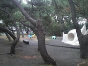 さとけんさんの小和田浜公園の投稿写真1