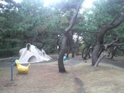 さとけんさんの小和田浜公園の投稿写真2