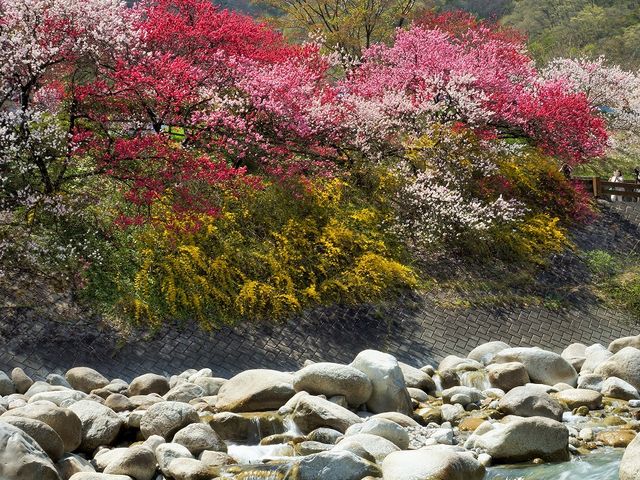 阿知川 2
_昼神温泉郷